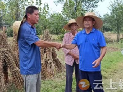 大雨将至 “格格”快速助农抢收粮食