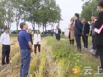 农业农村部工作组到钟祥开展“三秋”生产指导服务
