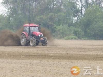 钟祥：抢时秋播力保油菜种满种足