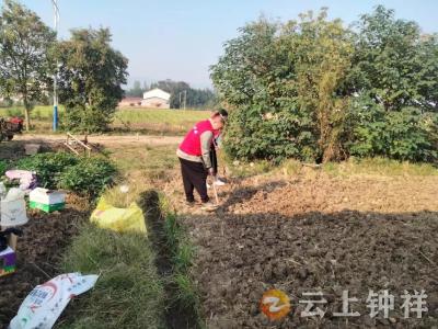 油菜播种正当时 网格员助力暖人心