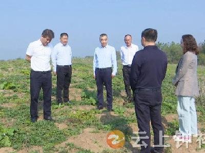 白海峰到双河镇调研“一线协商·共同缔造”行动推动主题教育走深走实
