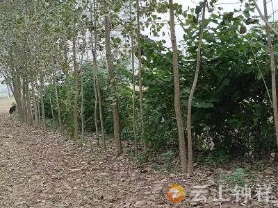 矛盾纠纷无小事 暖心调解促和谐