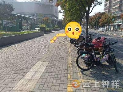 城市管理“文明红黄榜”第二十八期