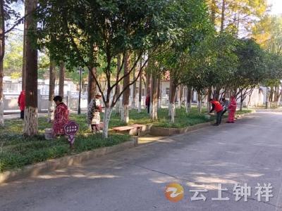 风景树木“穿新衣” 温暖过冬“防虫害”