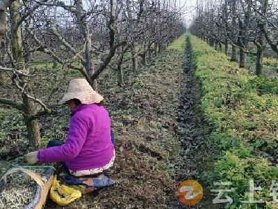 旧口镇“素螺丝”助力村民挣“票子”