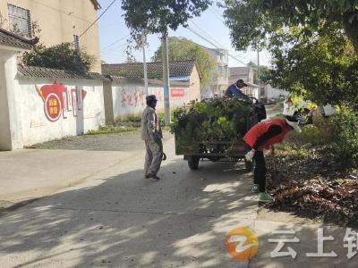 胡集镇丽阳社区：人人参与“清保” 个个享有积分