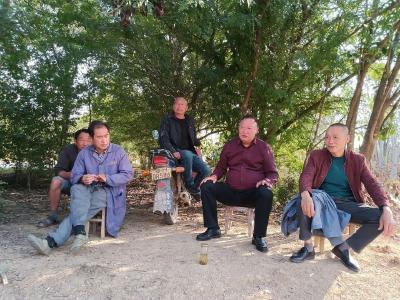 “钟祥政法先锋”系列事迹（十三）|三治融合建设和美幸福乡村