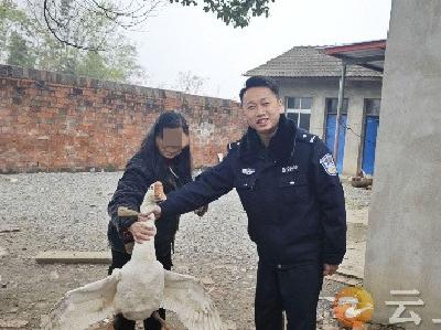 顺手牵“鹅”！钟祥警方两小时破案