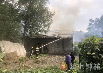 巡查突遇火情 网格员紧急除险