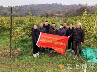 科技专家团“传经送宝” 助农民增产增收