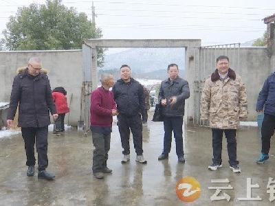 爱心企业献真情  走访慰问暖人心