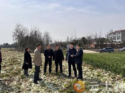 钟祥：村企同心  共绘乡村振兴新篇章