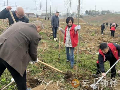 “植”此青绿 不负春光——双河镇开展2024年义务植树造林活动