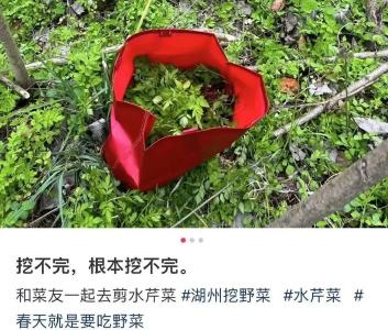 别碰！别吃！紧急提醒 