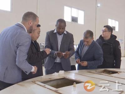 巴西客商实地考察湖北金汉江精制棉有限公司