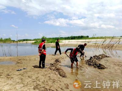 水位下降断了畅游路 齐心协力助鱼把家还