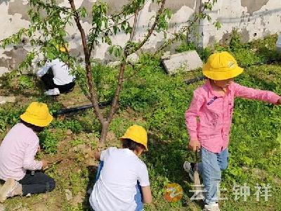 柴湖镇希望中心幼儿园开展劳动教育实践活动