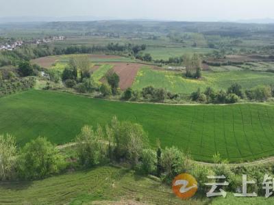 钟祥：集中育秧正当时 不负春光不误农