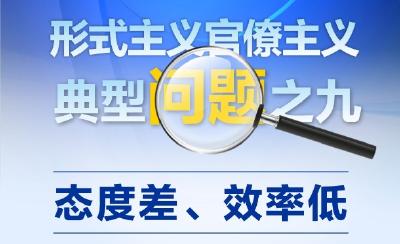 【专题】图说 | 形式主义官僚主义典型问题