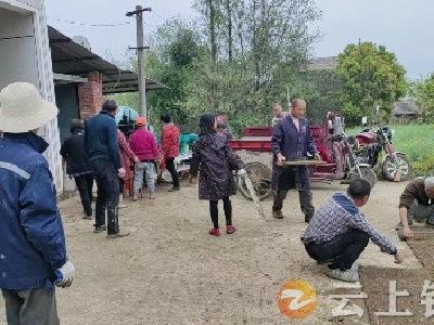 冷水镇杨岭村：春播育秧时 网格来相助