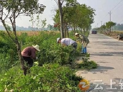 石牌镇三喜村整治小微水体 绘就水美乡村