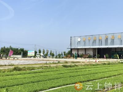 钟祥市稼祥植保服务专业合作社荣获“湖北省农民合作社示范社”称号