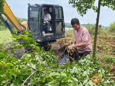 九里回族乡李家台村：共同缔造齐出力 五亩荒地变花园