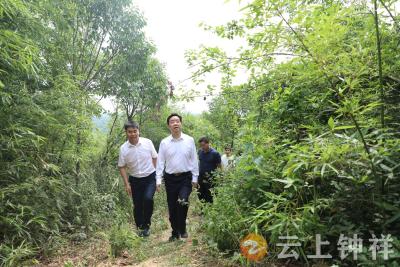 宋学军到磷矿镇开展二季度巡湖、巡林工作