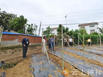 长滩镇人大：聚力共同缔造 助力产业振兴