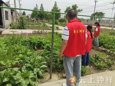 丰乐镇积极开展禁种铲毒大排查行动