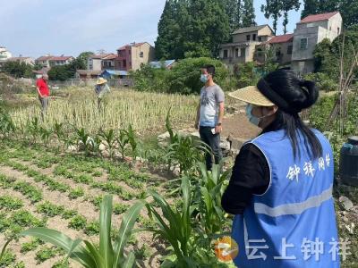 郢中街道宫塘社区开展禁种铲毒踏查行动