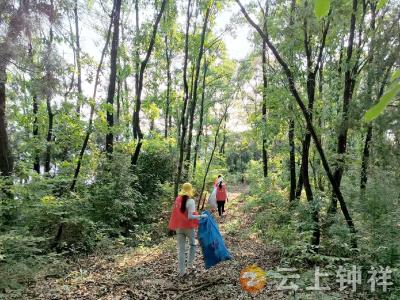 钟祥市温峡口水库：开展清漂志愿服务  用心守护一库碧水