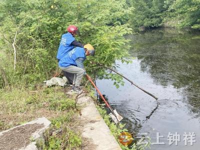 东桥镇：志愿服务清理四乱 共同维护水域洁净