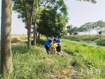 柴湖镇：河湖保护齐行动 碧水清流润沃土