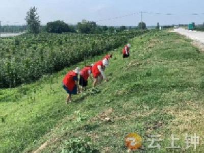 郢中街道保护水域岸线  呵护河湖健康