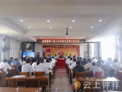 张集镇召开第十届人民代表大会第五次会议