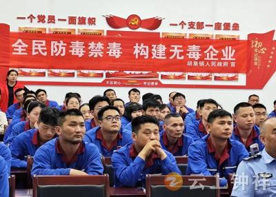 胡集镇：禁毒宣传进企业 共筑绿色防护网