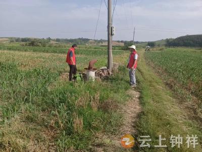 丰乐镇全力以赴抗击旱情