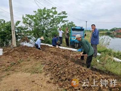 东桥镇清明村积极抽水抗旱保民生