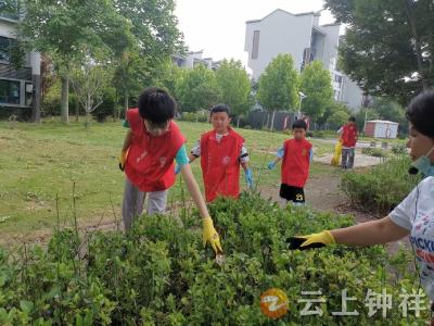 大柴湖经济开发区：“袋”走垃圾 为地球“捡”负