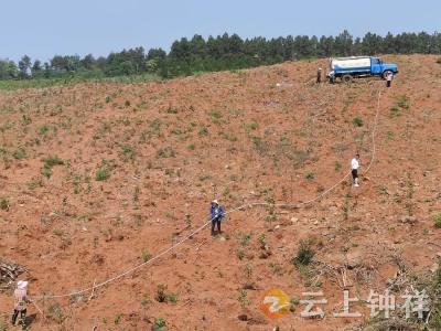 盘石岭林场吹响夏季抗旱保苗集结号