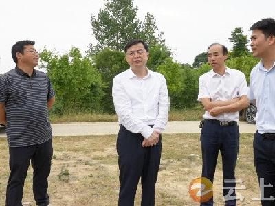 杨孟富开展巡湖、巡林及防汛抗旱工作检查