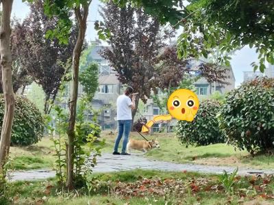 城市管理“文明红黄榜”第五十三期