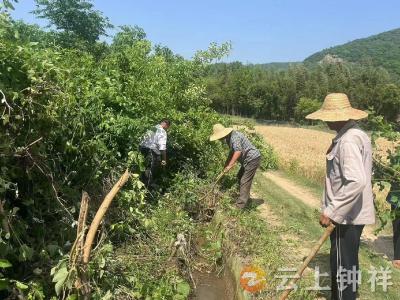 东桥镇马岭村：科学组织灌溉 全力抗旱保收