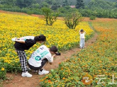 钟祥：百亩花海盛放迎客 邀您畅游花的海洋