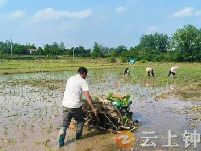 钟祥市连续3年获评乡村振兴战略实绩考核优秀等次！