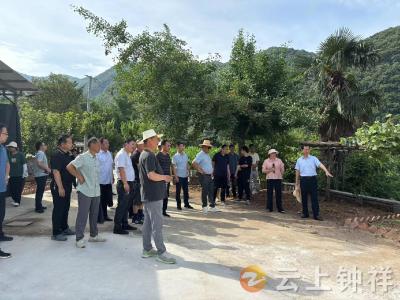 客店镇人大：践行共同缔造理念 助力和美乡村建设