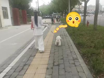 城市管理“文明红黄榜”第五十五期