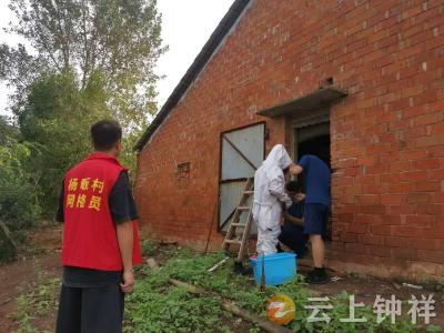 长寿镇杨畈村：“网格”联手“消防” 清除马蜂解民忧
