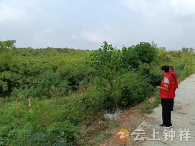 磷矿镇陈安村全方位抓实森林防火 共筑安全绿色家园